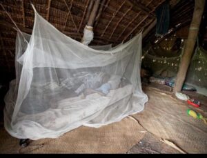 Malaria Mosquito net